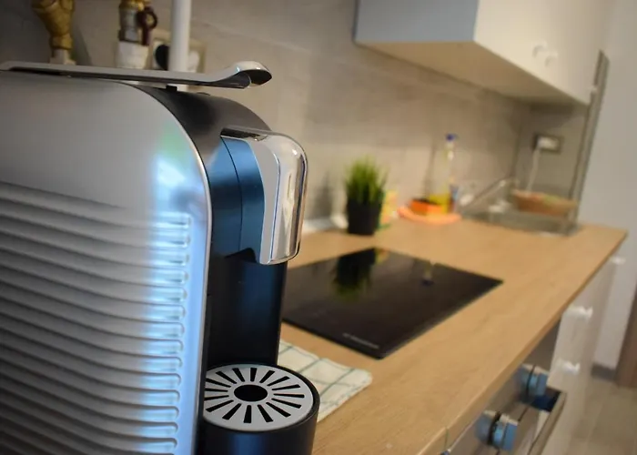 Willow By The Sea By Alz Năvodari