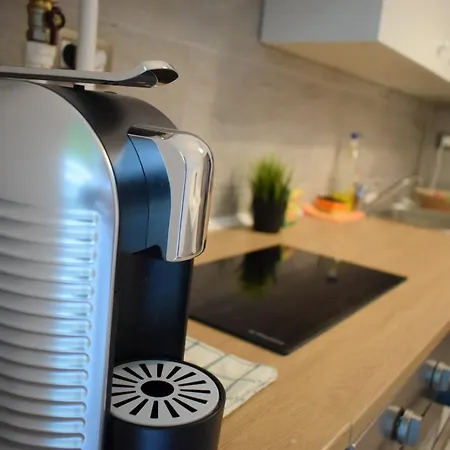 Willow By The Sea By Alz Navodari