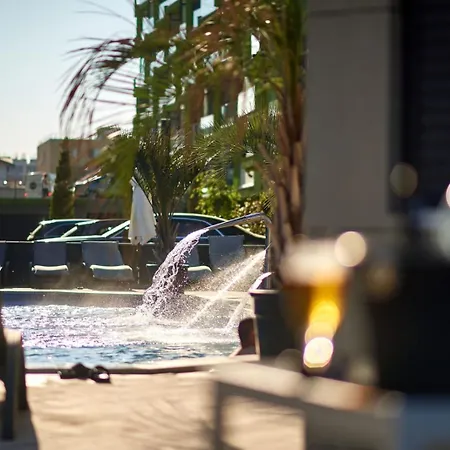 Willow By The Sea By Alz